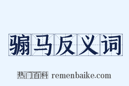 骟马反义词是什么意思的图片